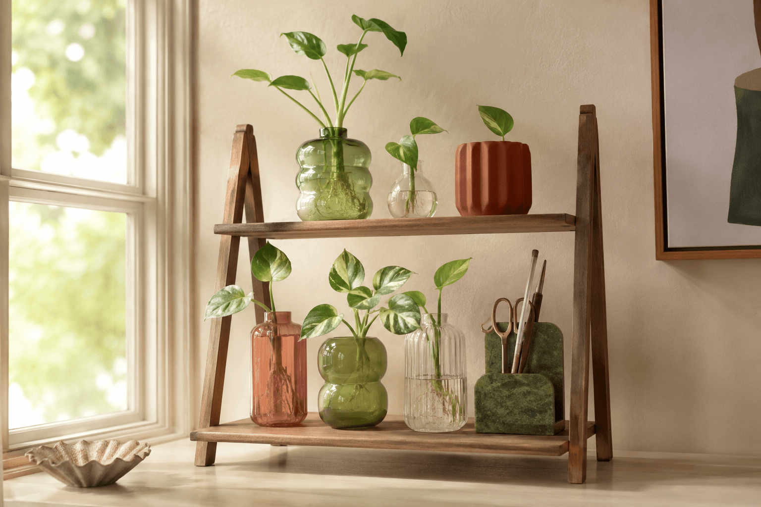 Finished propagation shelf in a calm residential interior